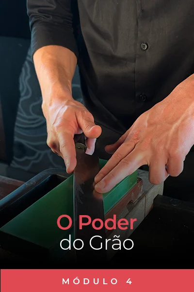 4Resultado